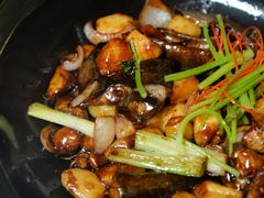 -酌宴府The China Club·广州万富希尔顿酒店(云城东路店)