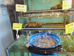 -阿兴生鱼片(大光路店)