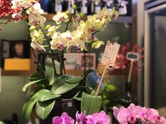 -豆豆花艺(新光天地店)