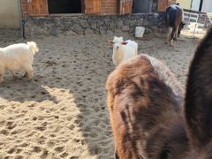 -HERRE·FARM 赫尔露营农场·团建聚会包场