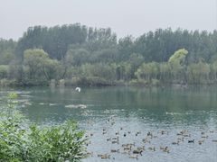 -淇河国家湿地公园