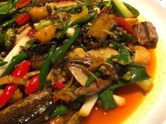 鳝鱼-院8里·小聚园老川菜(九眼桥店)