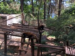 -昆明动物园