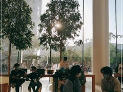 -Apple零售店(济南恒隆广场店)