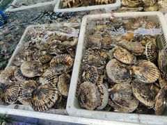 -青石桥市场北1-27号