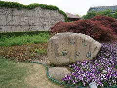 -嘉定紫藤园