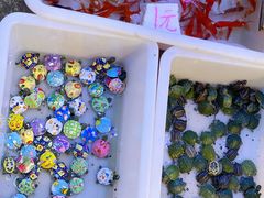 -双季花艺园艺市场(浦东店)