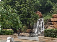 -广东花都湖国家湿地公园