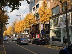 -Cafe de Paris(林荫路店)