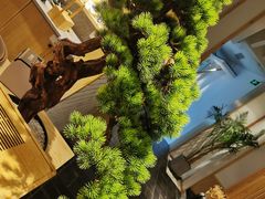 -瓦舍茶馆(聚源路店)