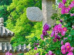 -北京石刻艺术博物馆(五塔寺)