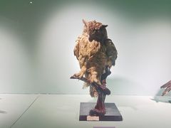 -国家自然博物馆