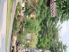 -广州神农草堂中医药博物馆