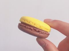 -PAUL LAFAYET 法式甜品(港汇广场店)