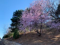 -北京西山国家森林公园
