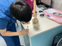 -芭比堂动物医院·心脏专科·夜诊·吉雅分院