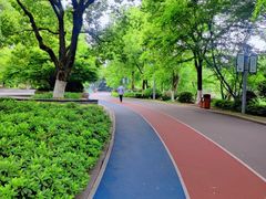-桐乡植物园