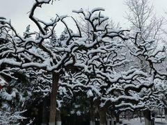 -木屋烧烤(双榆树店)