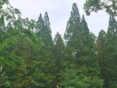 -上海怡沁园度假酒店
