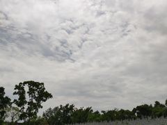 -同里国家湿地公园