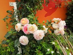 -人民公园(罗湖区)