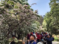 -国家植物园南园