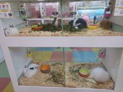 -万达广场(大明宫店)