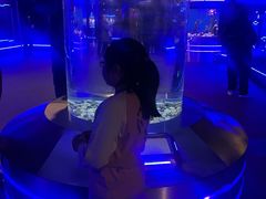 -大连圣亚海洋世界