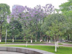 -重庆中央公园(渝北区)