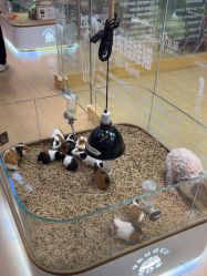 -小象动悟公园(龙湖亦庄天街店)