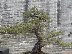 -梁园