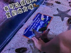 -暹罗海洋世界