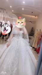 -Color卡诺婚纱礼服馆(南京严选店)