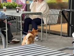 -Seesaw Coffee(西岸凤巢店)