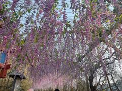 -红螺寺