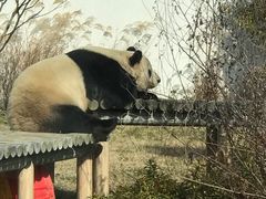 -苏州太湖国家湿地公园