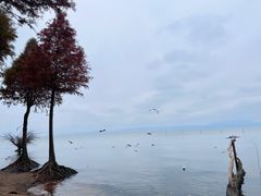 -捞渔河湿地公园