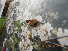 -堤角公园