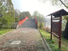 -东方大寿星园
