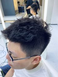 点击看大图 -金棕榈