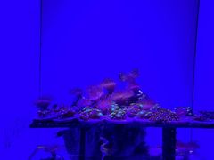 -青岛海底世界-水族馆