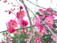 -清凉山公园