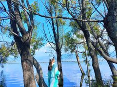 -洱海月湿地公园