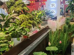 -洞庭家宴·头牌甲鱼(广渠门店)