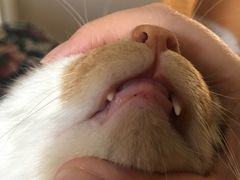 -天津前进宠物医院(前进道店)