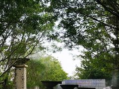 -南沙水鸟世界生态园