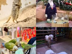 -正佳雨林生态植物园