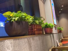 -南门四季铜锅涮肉(大屯·北苑店)