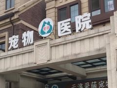 -美联众合宠物医院·爱萌分院·内外科·猫科中心