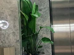 -王记姚家味·地道苏帮菜(凤凰街店)